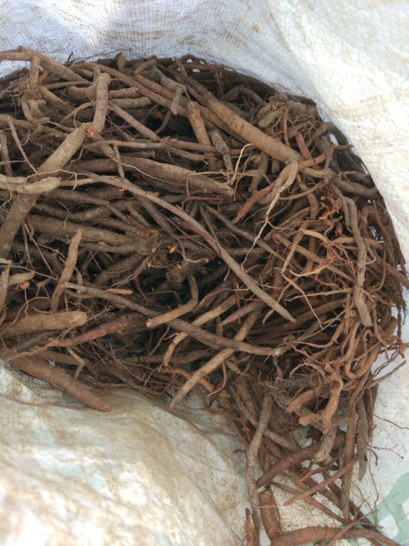云南小红参干货无硫柴火烘烤