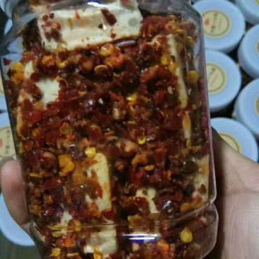 豆豉