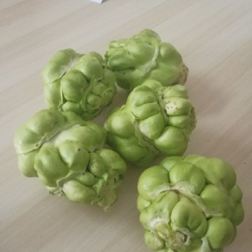 榨菜5两以上