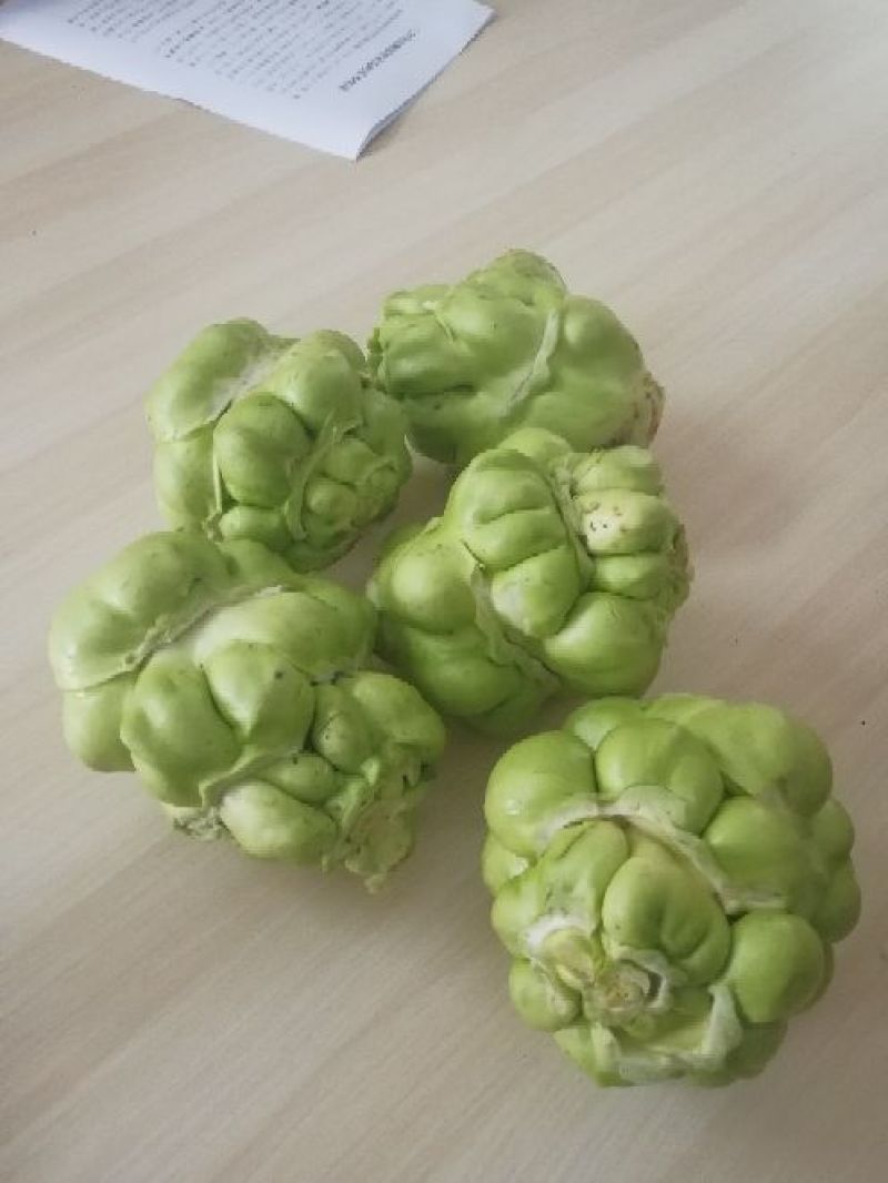 榨菜5两以上