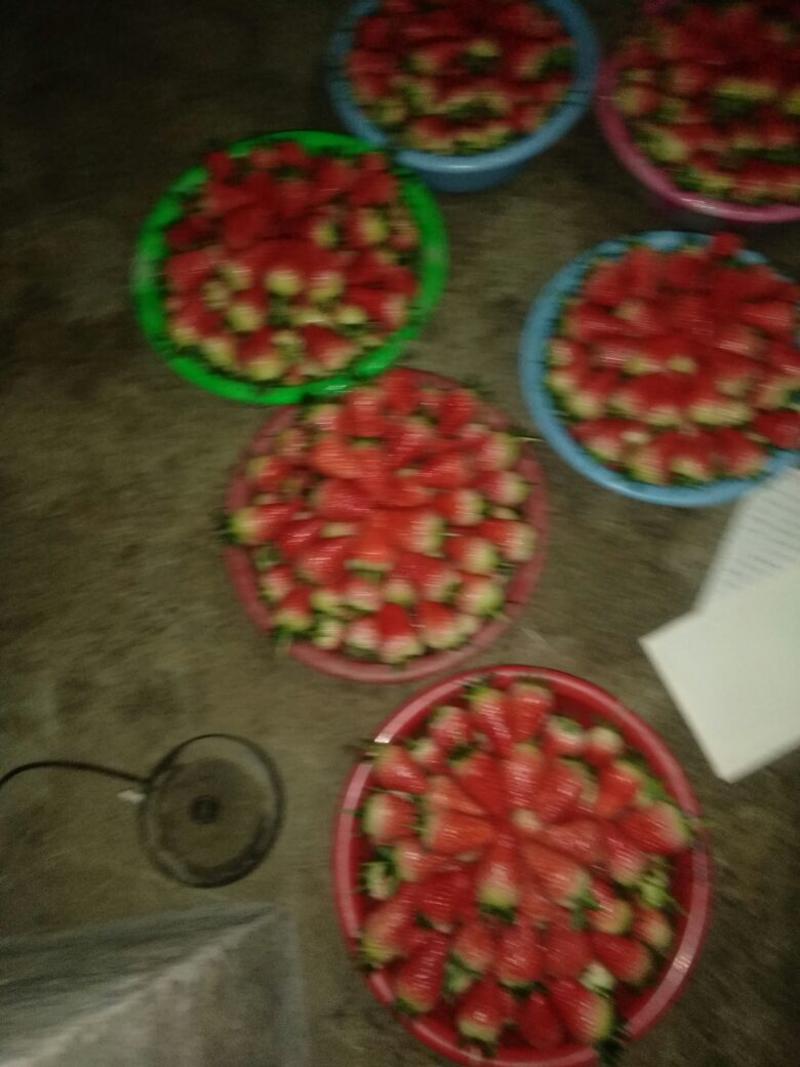 甜宝草莓20~30克