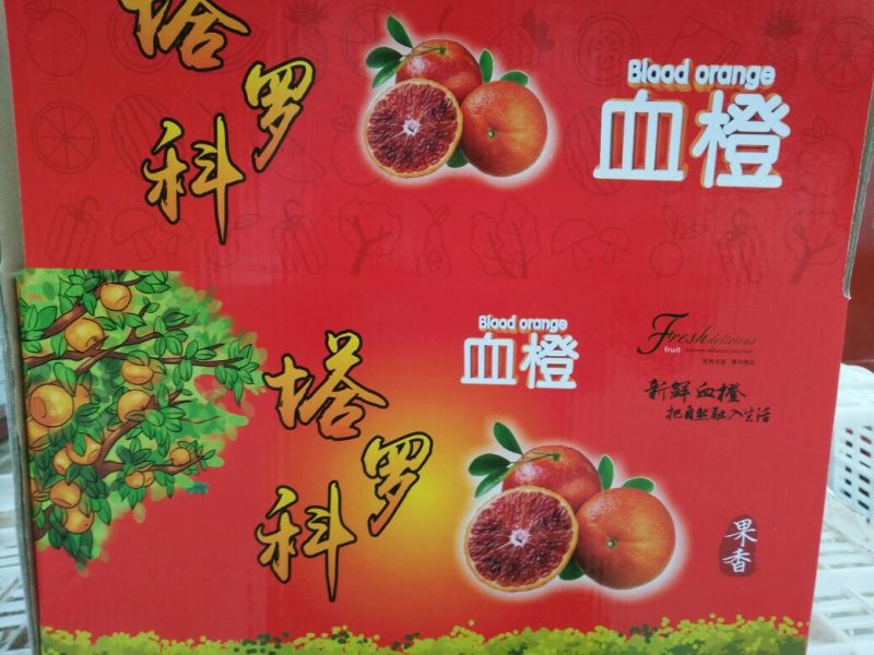 【包邮】一件代发塔罗科血橙70起步颗颗精选自种无中间商包售后