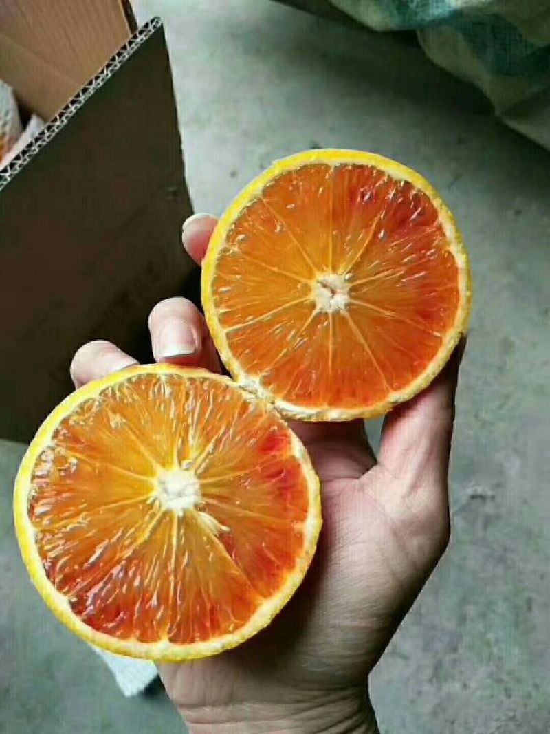 【包邮】一件代发塔罗科血橙70起步颗颗精选自种无中间商包售后