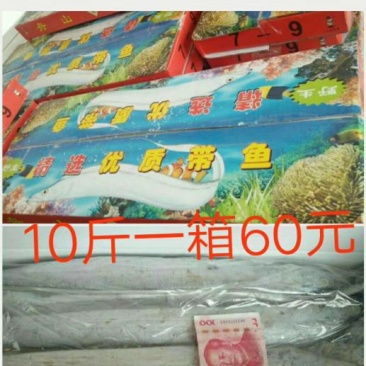 刀鱼食用冻鱼
