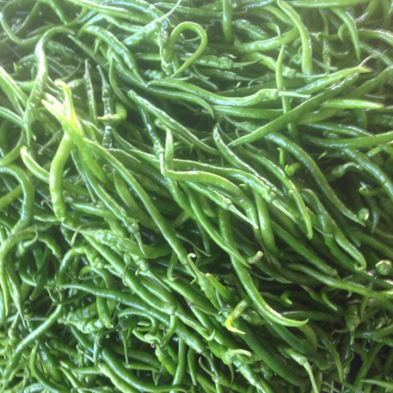 芜湖椒10~15厘米中辣青