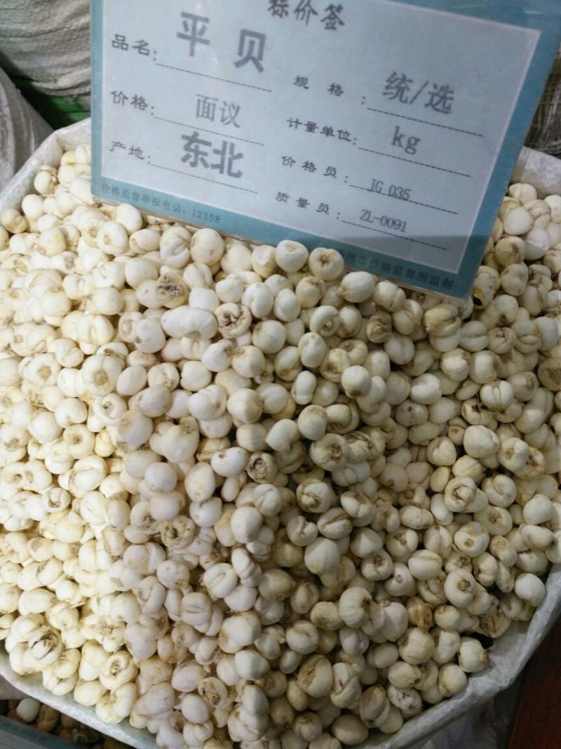 平贝母东北1公斤起批无硫无添加包邮只做正品