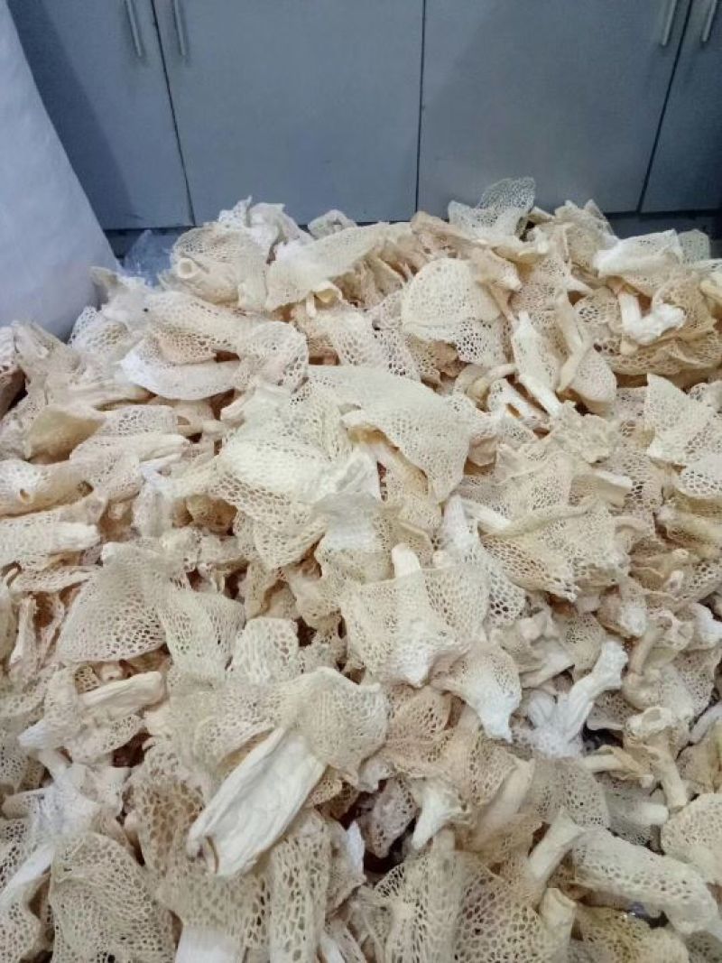 长裙竹荪特级