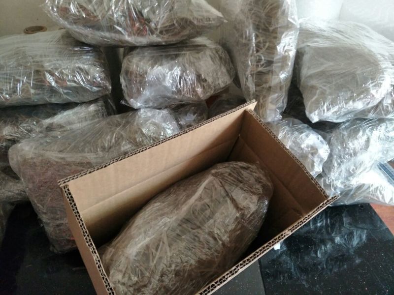 红薯粉丝无明矾纯手工红薯粉丝