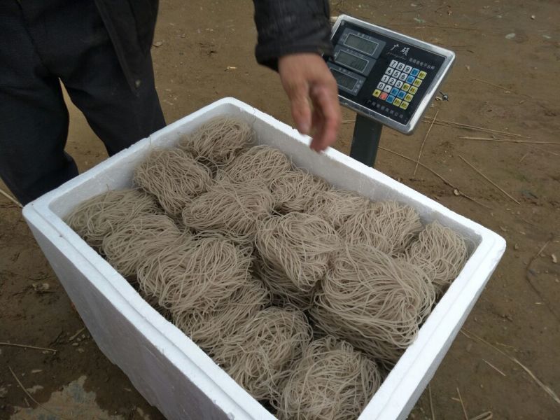 红薯粉丝无明矾纯手工红薯粉丝