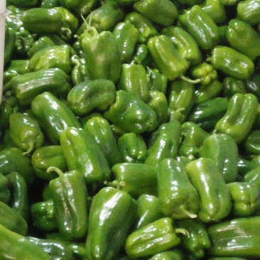 精品好圆椒4cm以上