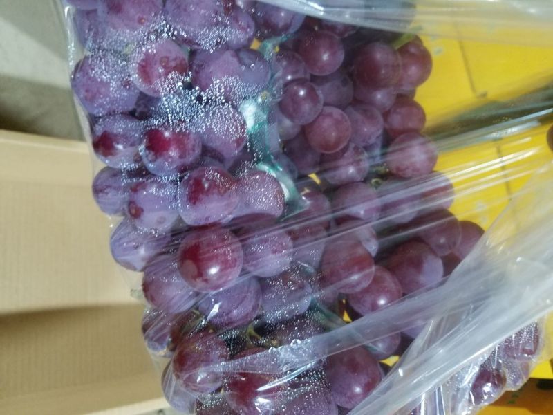巨峰葡萄5%以下0.8~1斤