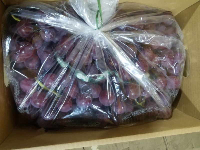 巨峰葡萄5%以下0.8~1斤