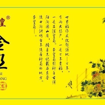 金丝皇菊茶特级