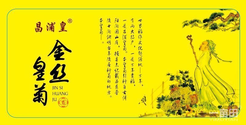 金丝皇菊茶特级