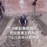 芦笋苗两年苗生长快，来年即可收芦笋，农家推荐