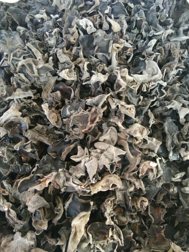 黑木耳一级