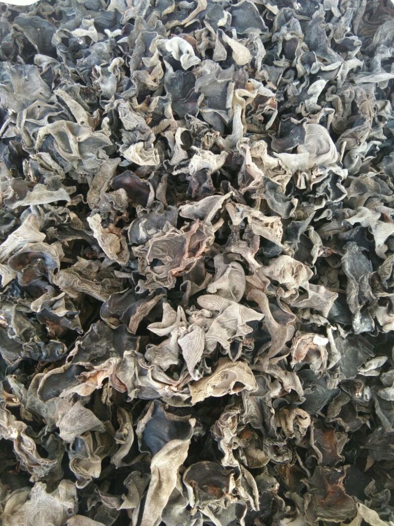 黑木耳一级