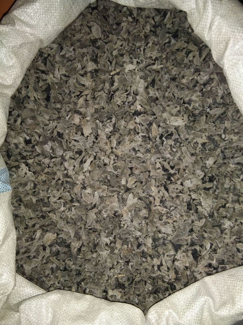 黑木耳一级