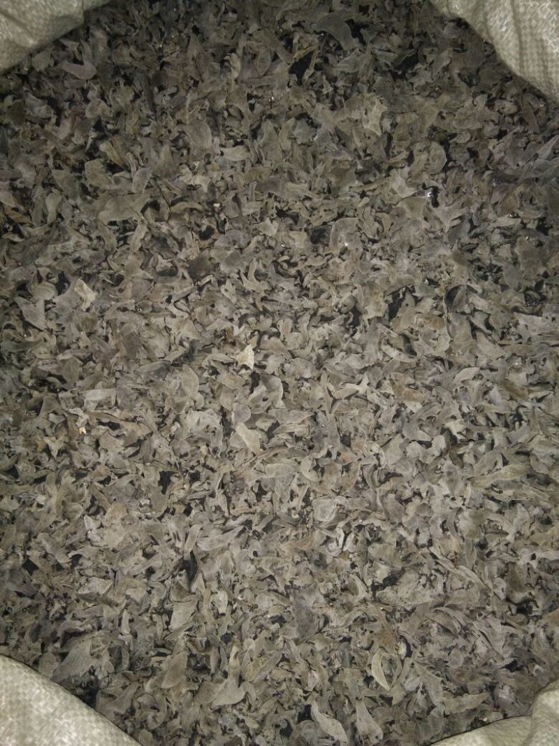 黑木耳一级