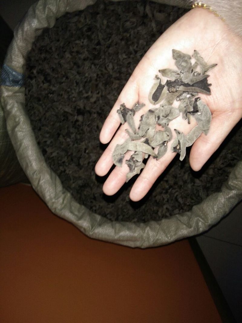 黑木耳一级
