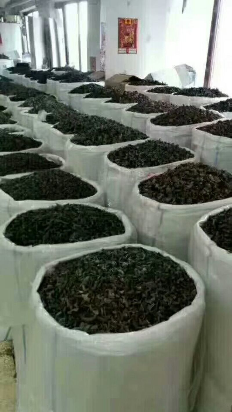 黑木耳一级