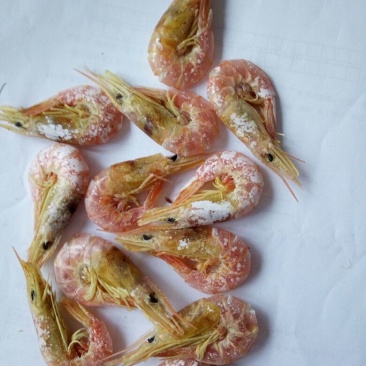干虾