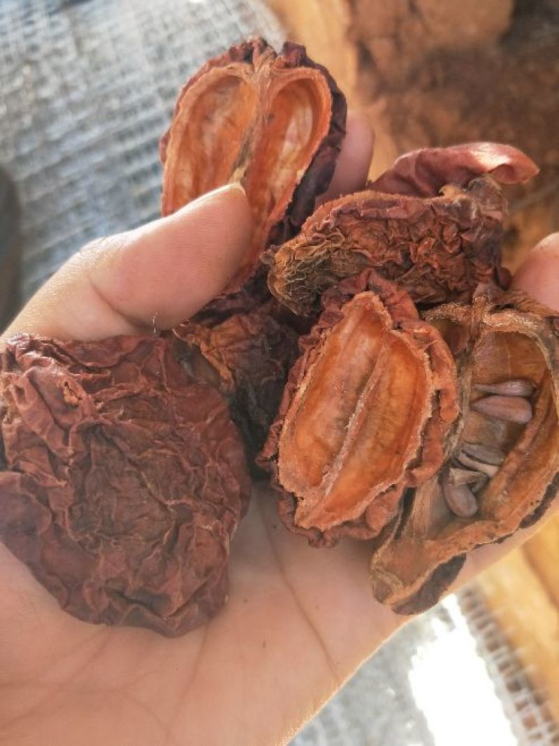 云南酸木瓜，大量有货，需要的老板联系，量大从优，