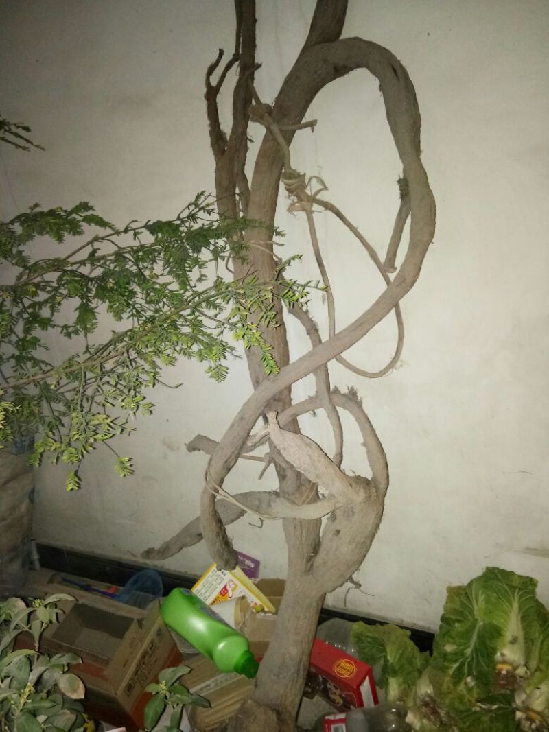 毛石
