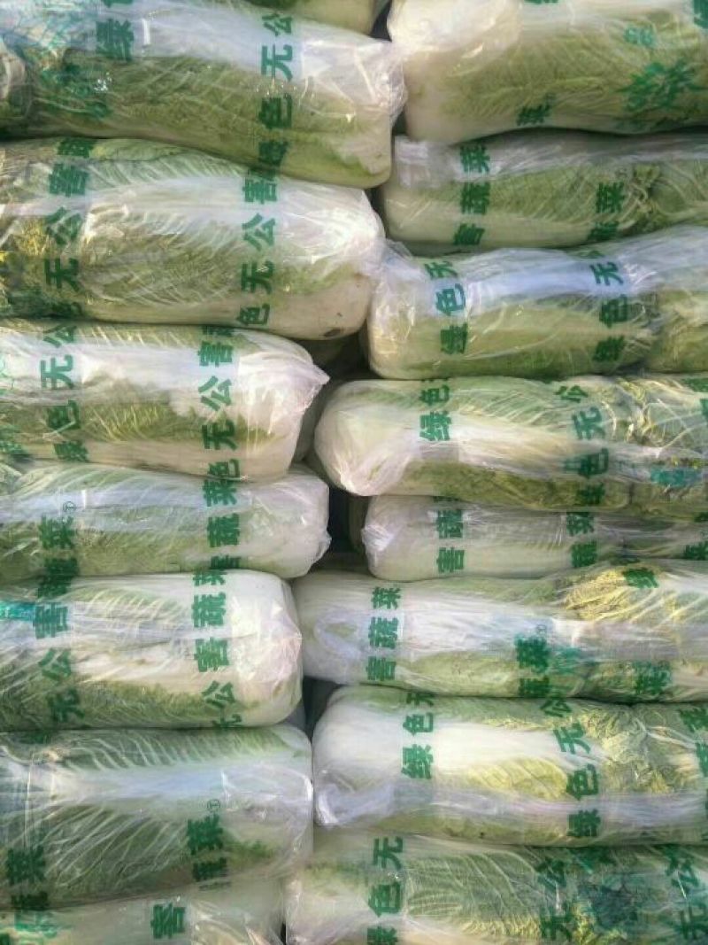 北京三号大白菜大量上市