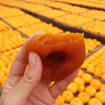 柿饼1~2两普通包装A级柿饼