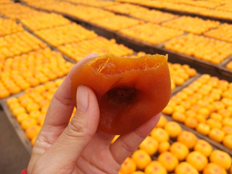 柿饼1~2两普通包装A级柿饼
