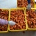 柿饼1~2两普通包装A级柿饼
