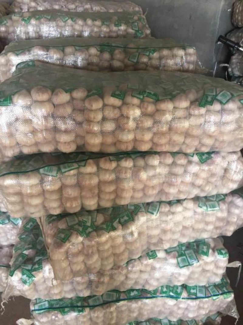 代收代存大蒜冷库出租，配资加工各种规格包装