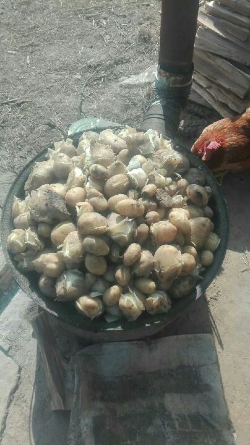 猪肉生肉