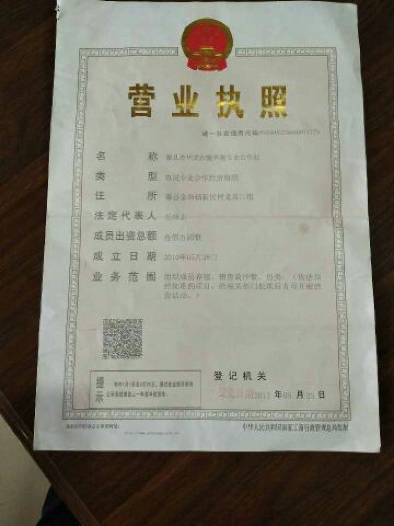 黄沙鳖长期供应无公害黄沙鳖