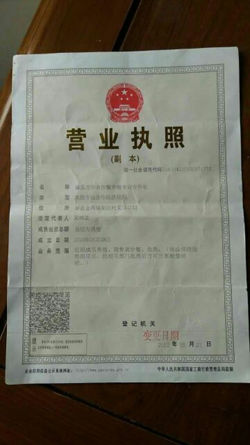 黄沙鳖长期供应无公害黄沙鳖