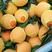 重庆奉节脐橙专业代办非赣南橙，元红-纽荷尔全年带叶鲜果