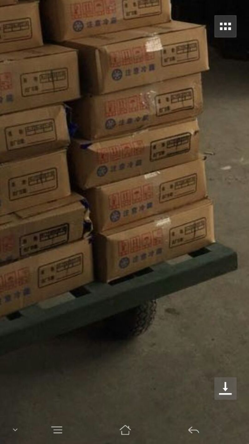 刀鱼食用冻鱼