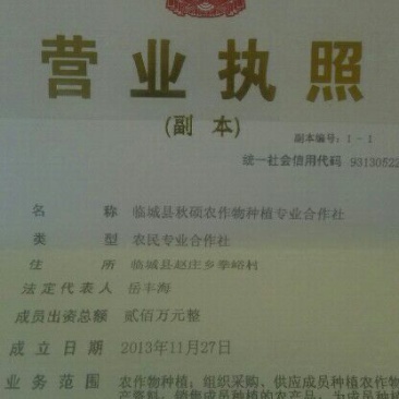 薄皮核桃30~35mm去皮干