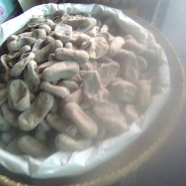 豆腐湿豆腐
