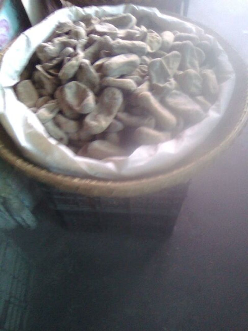 豆腐湿豆腐