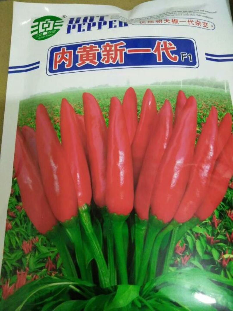 朝天椒种子95%以上