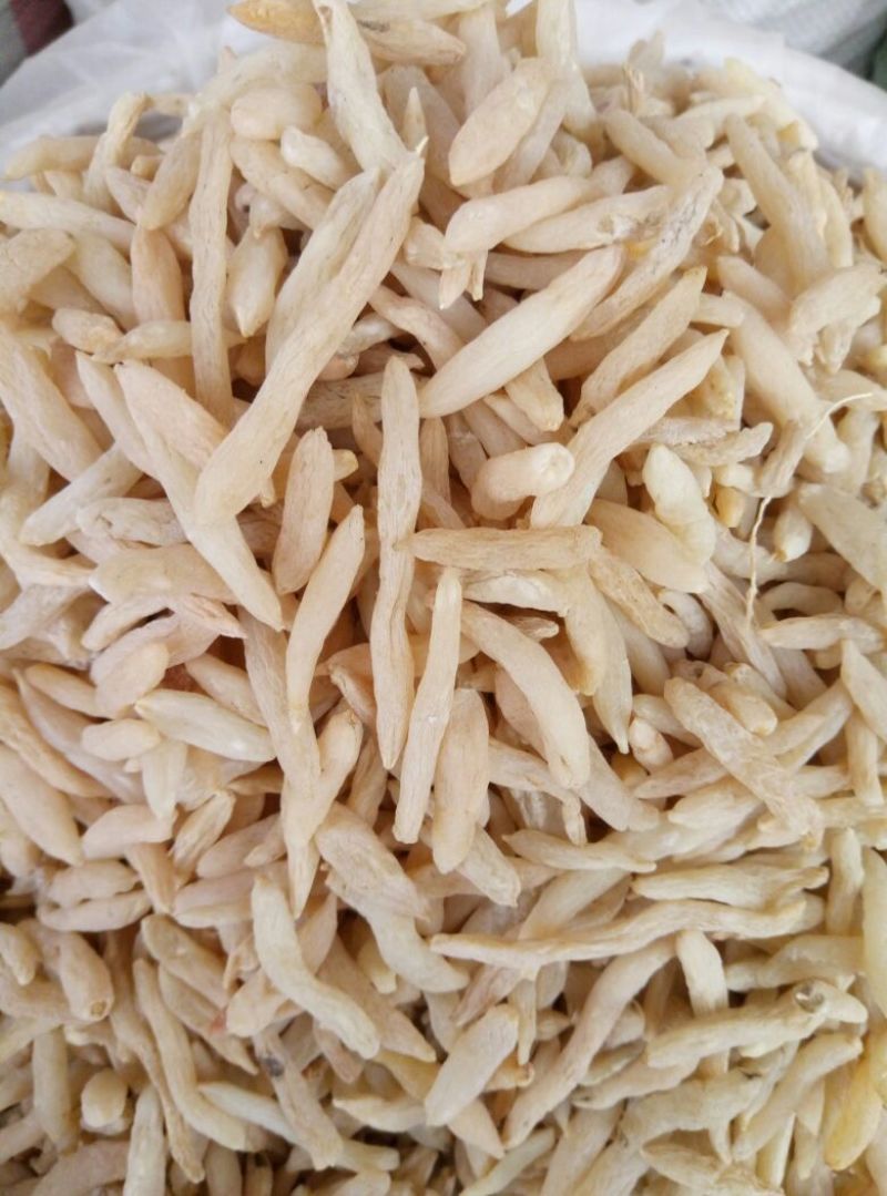 麦冬特级一斤起批