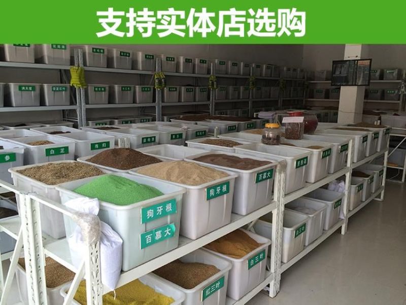 草坪种子98%以上