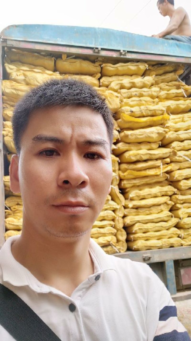 营养钵木苗营养杯美植袋