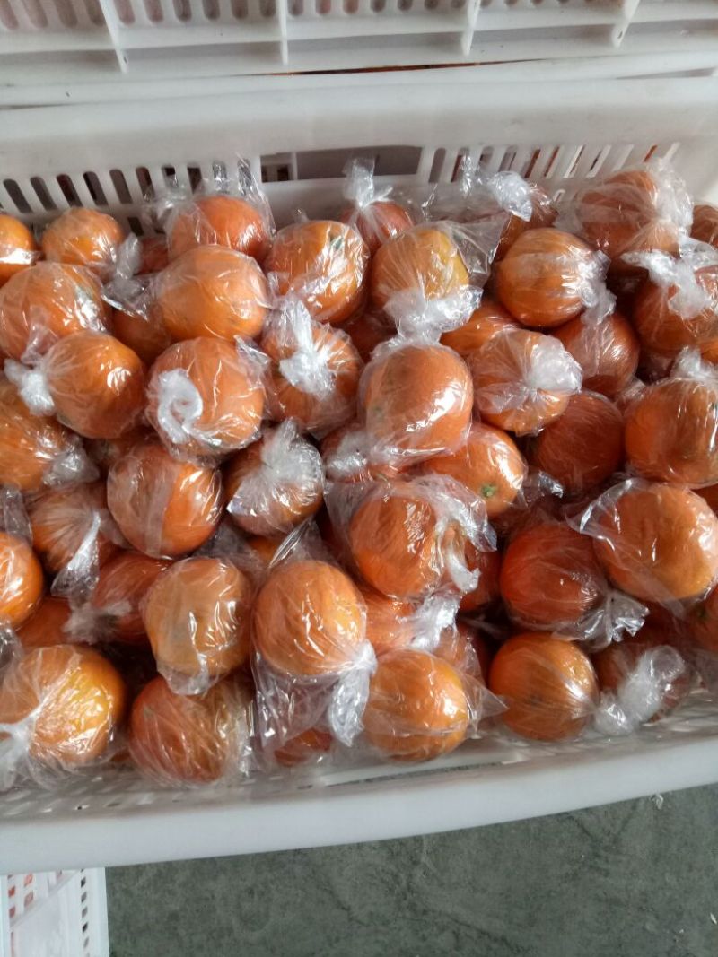纽荷尔脐橙次果大果，优质小果混装，口感好甜