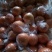 纽荷尔脐橙次果大果，优质小果混装，口感好甜
