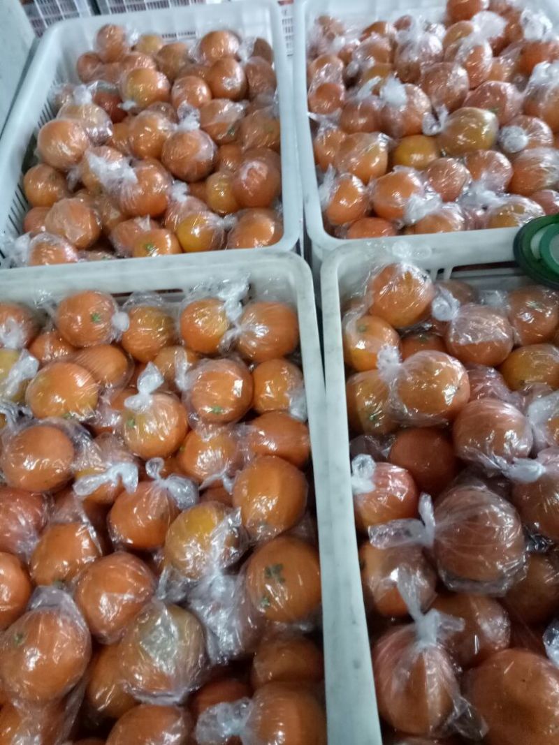 纽荷尔脐橙次果大果，优质小果混装，口感好甜