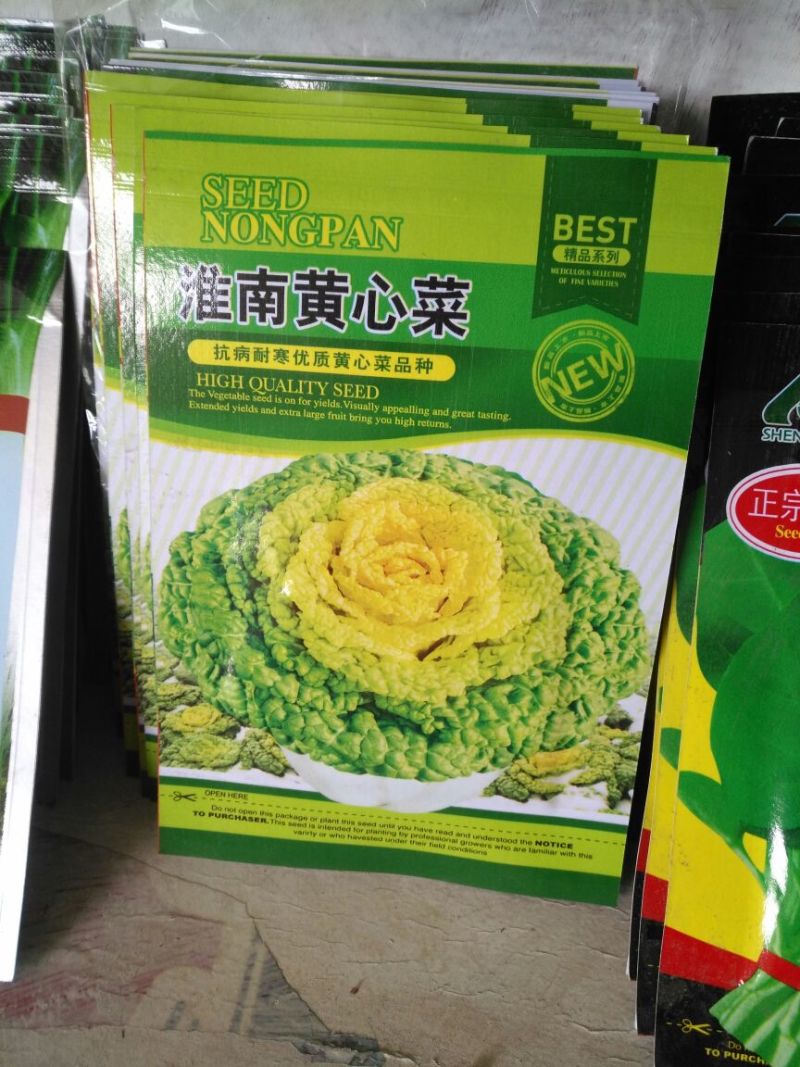 黄瓜种子98%以上