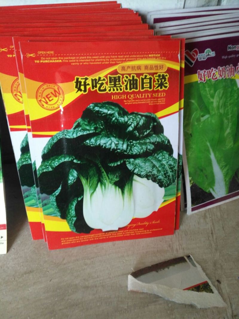 黄瓜种子98%以上